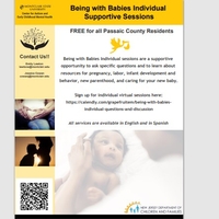 Pregnancy Resource: Being With Babies Individual Support Sessions (MSU: Center for Autism & Early Childhood Mental Health)