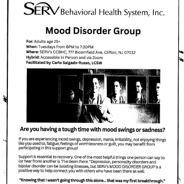 Mood Disorder Group (SERV) Hybrid