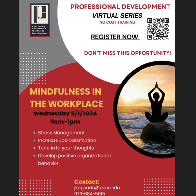 Professional Development: Mindfulness in the Workplace