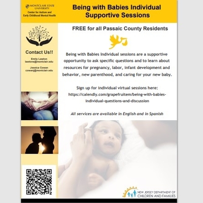 Being With Babies Individual Support Sessions (MSU: Center for Autism & Early Childhood Mental Health)